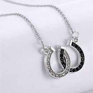 Elegant Silver and Black Horseshoe Necklace